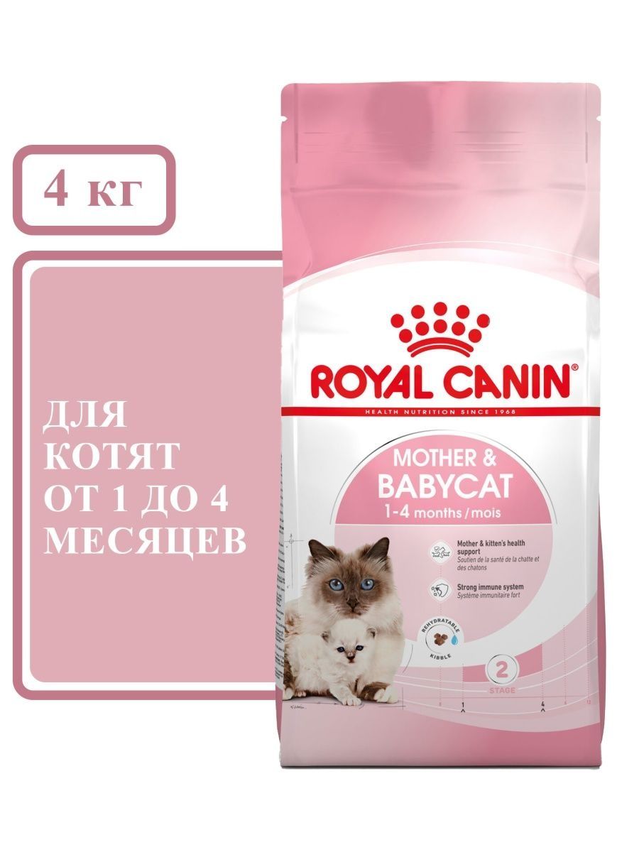 Royal canin babycat