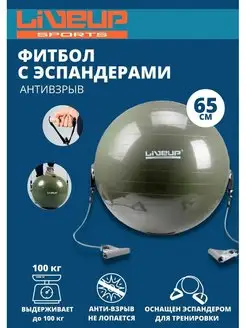 Фитбол с эспандером Gym Ball With Expander LS3227