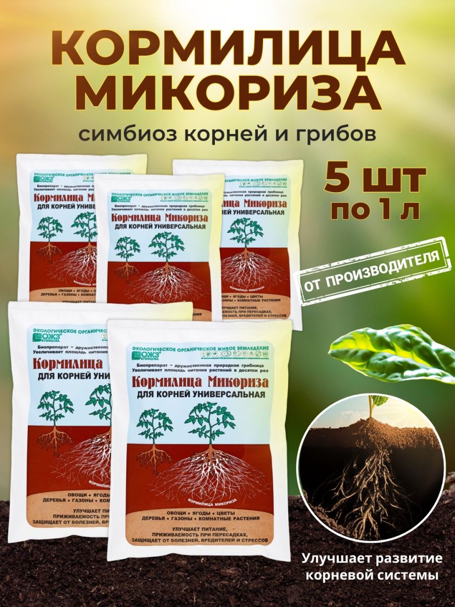 Кормилица микориза. Микориза (био) стимулятор корнеобразования 20г Ортон/70. Микориза удобрение. БАШИНКОМ.