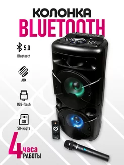 Bluetooth колонка караоке с беспроводным микрофоном