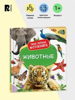 Животные. Твоя первая фотокнига. Книжка-картинка для детей