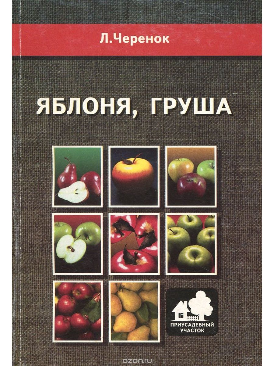 фанфик яблоки и книги фото 50