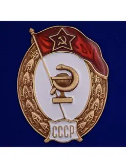 Знак об окончании Медицинского училища СССР