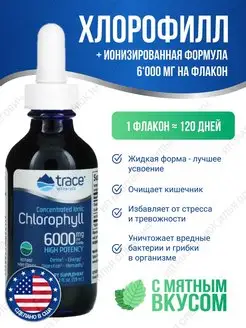 Ионизированный жидкий хлорофилл Ionic Chlorophyll с мятой