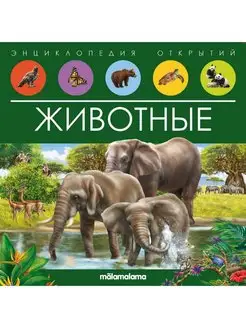 Книга Энциклопедия открытий Животные