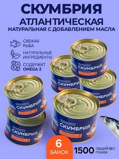 Скумбрия атлантическая в масле 250 гр - 6 шт