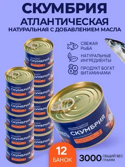 Скумбрия атлантическая в масле 250 гр - 12 шт