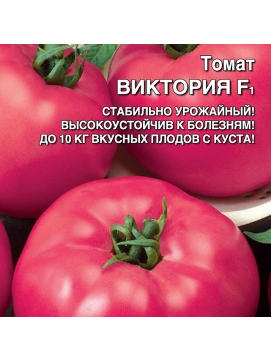 томат спасская башня f1 характеристика и описание сорта