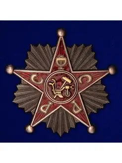 Знак Командир РККА РСФСР 1918-1922 гг