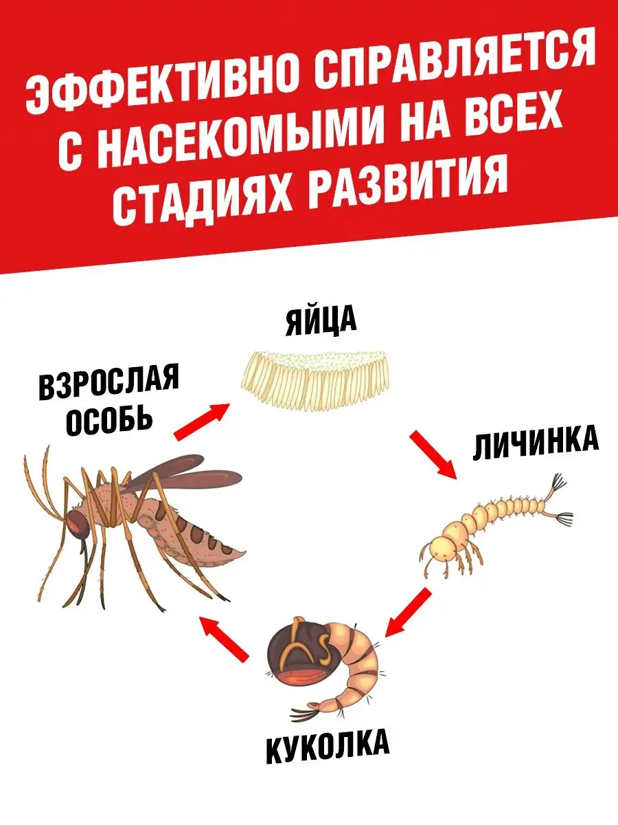 Какого размера личинки тараканов?