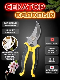 Секатор для деревьев