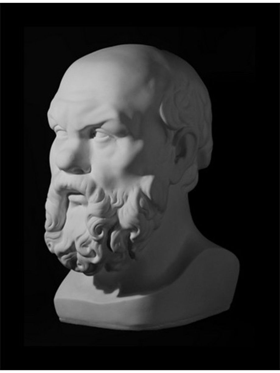 Древнегреческий философ гипсовая голова