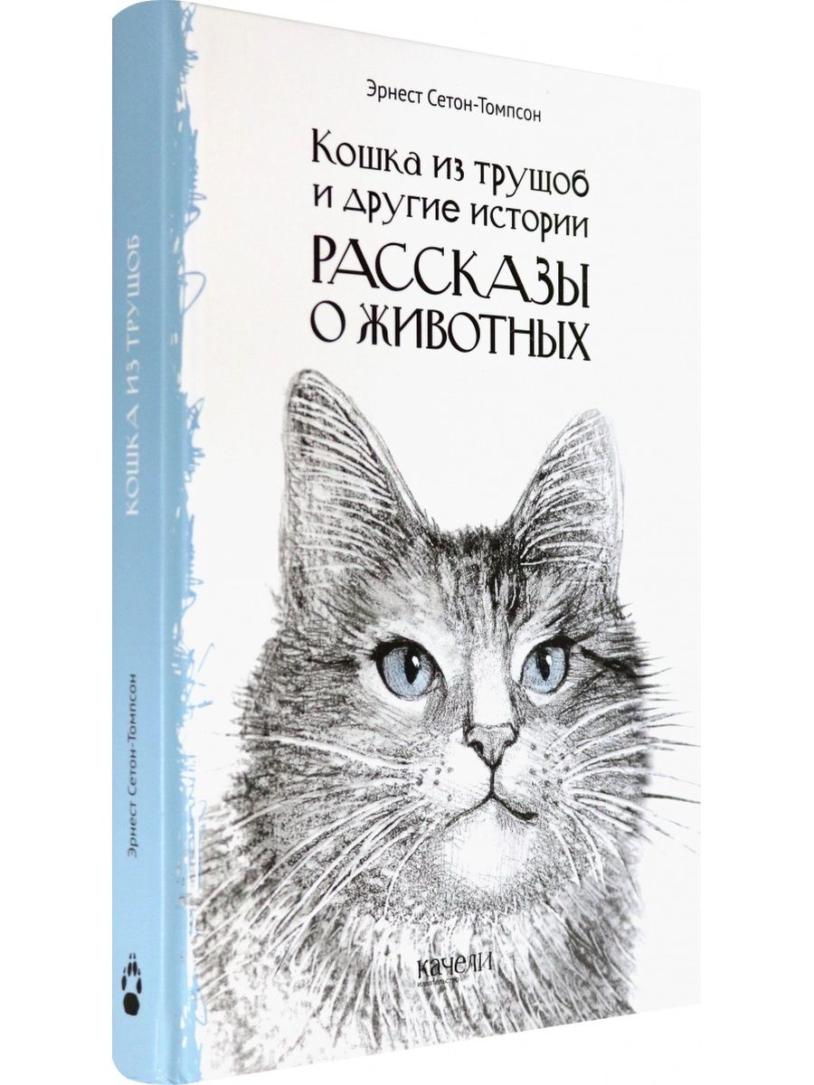 Рассказчик часто рисует мир как бы глазами королевской аналостанки каким видит мир кошка приведите