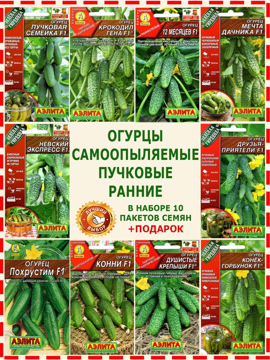 Семена овощных культур агрофирма поиск