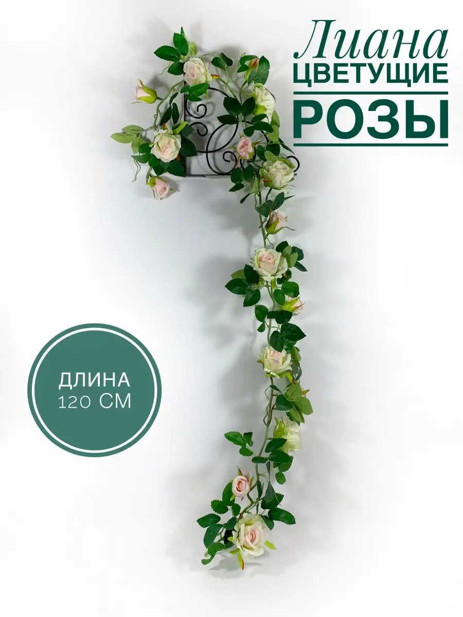 Лиана с днем рождения картинки