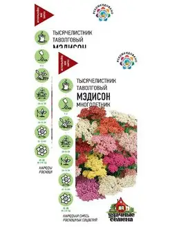 Тысячелистник Мэдисон смесь (0,05 г), 2 пакета