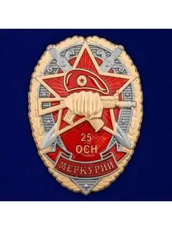 Знак 25 ОСН Меркурий