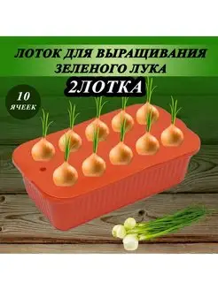 Лоток (контейнер) для выращивания зелёного лука