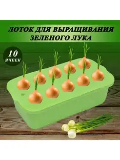 Лоток (контейнер) для выращивания зелёного лука