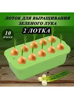 Лоток (контейнер) для выращивания зелёного лука