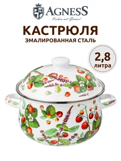 Кастрюля эмалированная для индукционной плиты 2,8 л