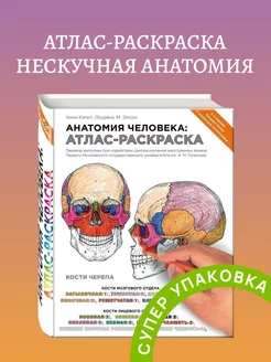 Анатомия человека атлас-раскраска