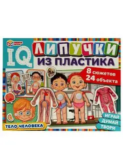 Настольная игра с липучками из пластика Тело человека