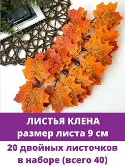 Листья клена и ветки, осенний декор