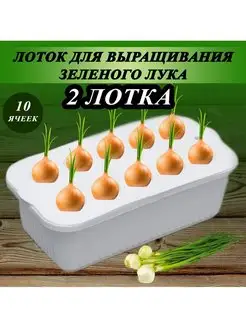 Лоток для выращивания зелёного лука