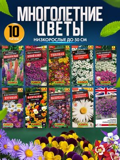Семена цветов набор многолетников для сада низкорослые Агрофирма Аэлита 159142030 купить за 324 ₽ в интернет-магазине Wildberries