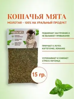 Кошачья мята, лакомство, котовник