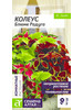 Колеус Блюме комнатные цветы бренд Урожай удачи продавец Продавец № 510938