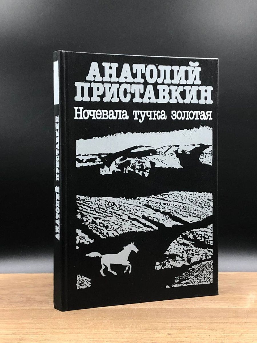 Ночевала тучка золотая читать краткое. Ночевала тучка Золотая книга. Ночевала тучка Золотая Приставкин книга. Приставкин ночевала тучка Золотая сколько страниц.