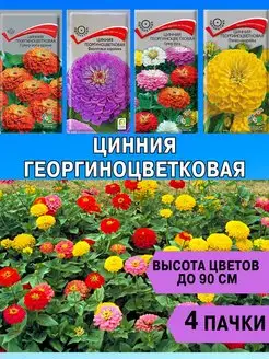 Цинния семена