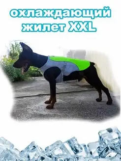 Охлаждающий жилет попона XXL