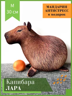 Игрушка антистресс Капибара