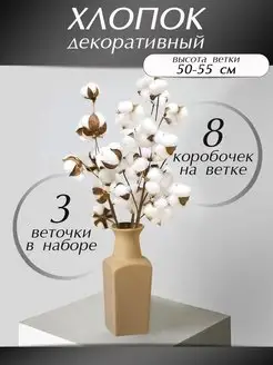 Сухоцветы хлопок для декора