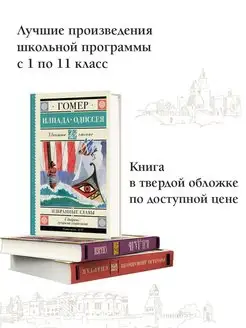 Илиада. Одиссея. Избранные главы