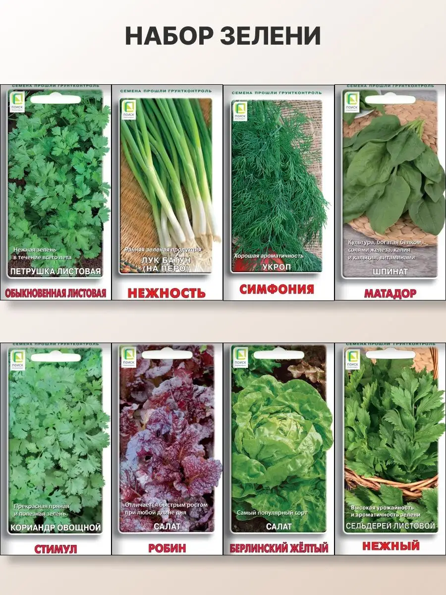 Семена зелени 8 штук / лук укроп петрушка салат шпинат кинза ПОИСК160089370 купить за 294 ₽ в интернет-магазине Wildberries