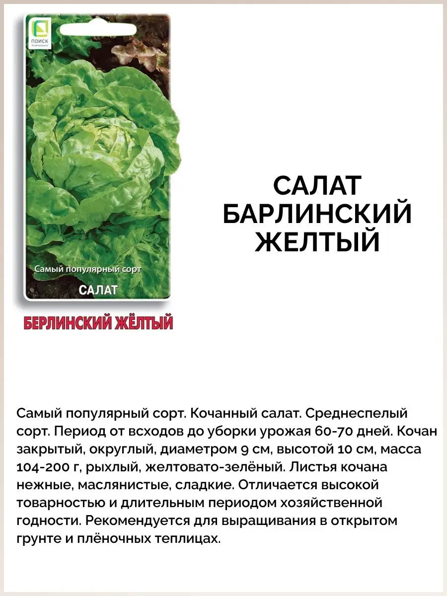 Семена зелени 8 штук / лук укроп петрушка салат шпинат кинза ПОИСК160089370 купить за 294 ₽ в интернет-магазине Wildberries